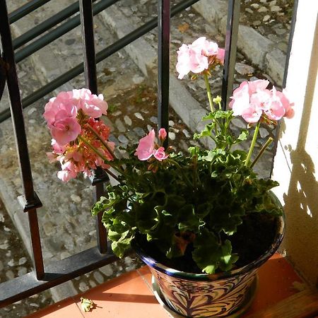 Escapadas Romanticas En Granada Jacuzzi Eksteriør billede
